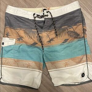 Quiksilver Men's Multicolor Swim Shorts